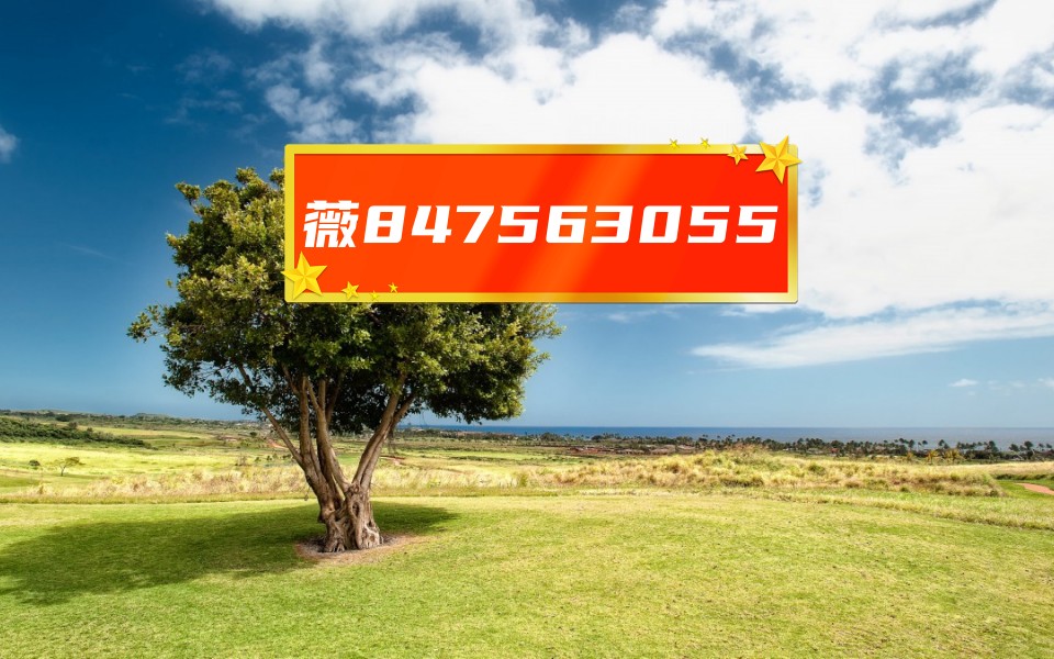 万能开挂辅助“山西扣点点麻将开挂神器”专业师傅带你一起了解(确实有挂-第1张图片