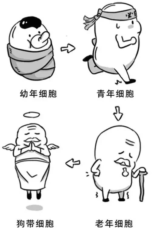 河南4例为一家四口〃河南一家四人患癌症-第2张图片