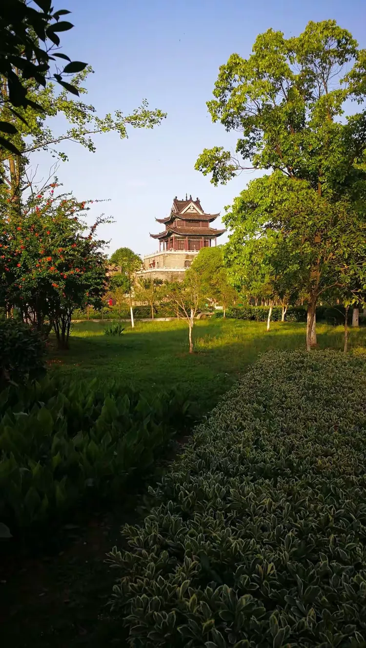 玩家必读“楚天游开挂神器”开挂(透视)辅助-第1张图片