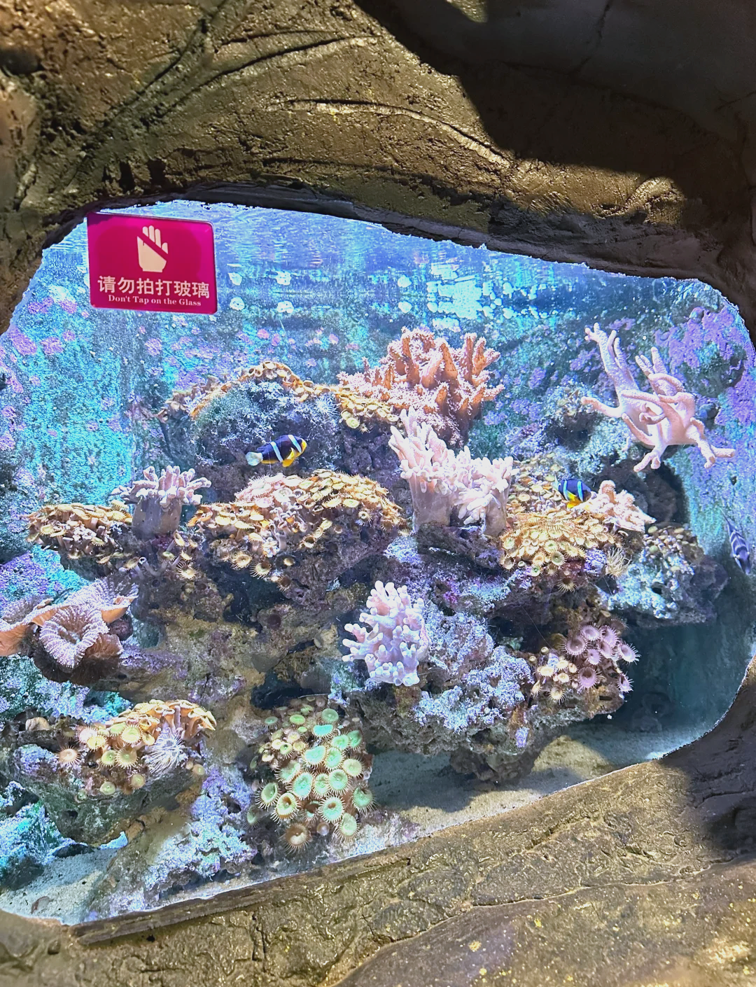 推荐一款“海底乐园有挂吗确实有挂”作弊(透视)透视辅助-第2张图片
