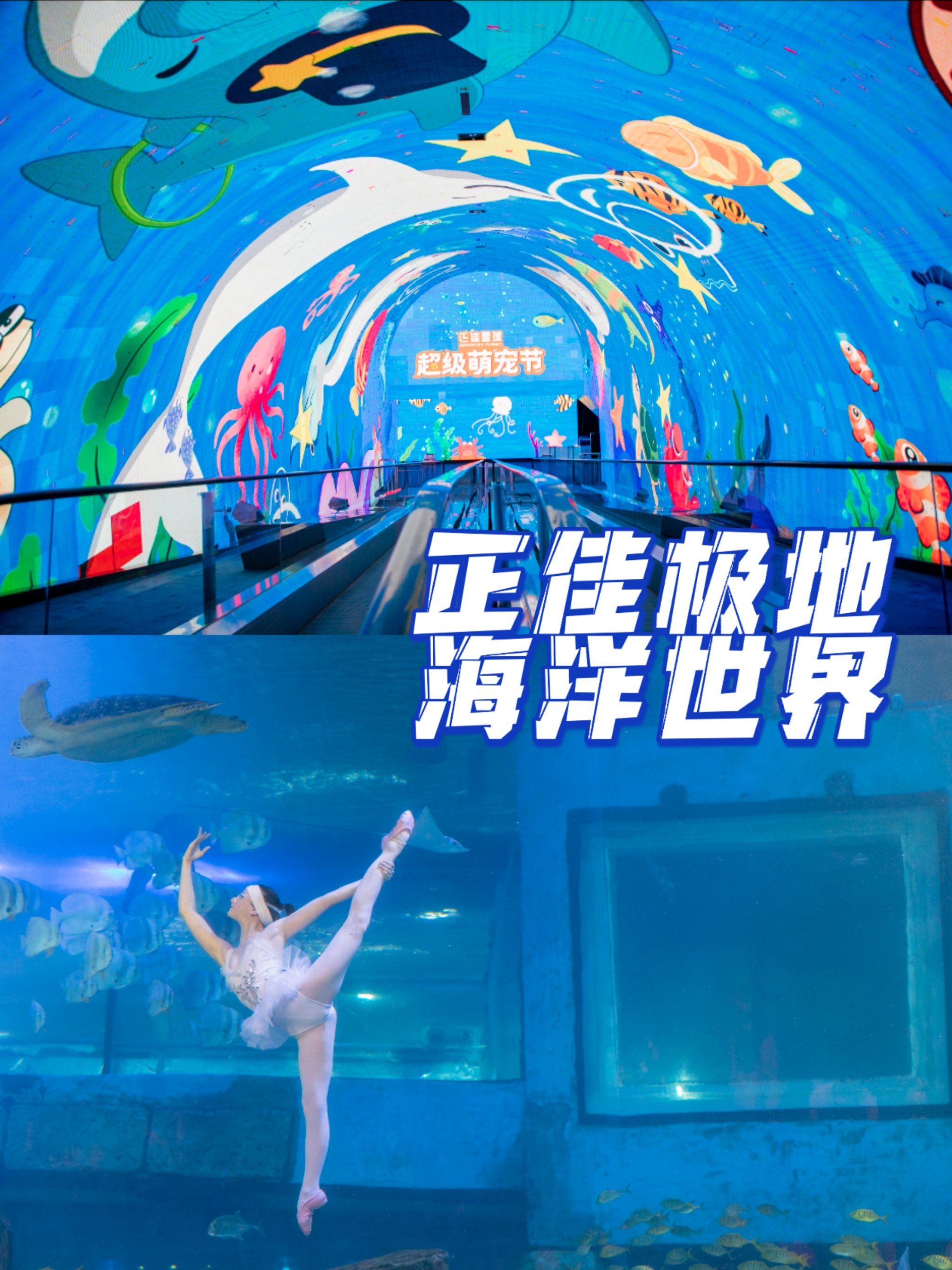 推荐一款“海底乐园有挂吗确实有挂	”作弊(透视)透视辅助-第1张图片
