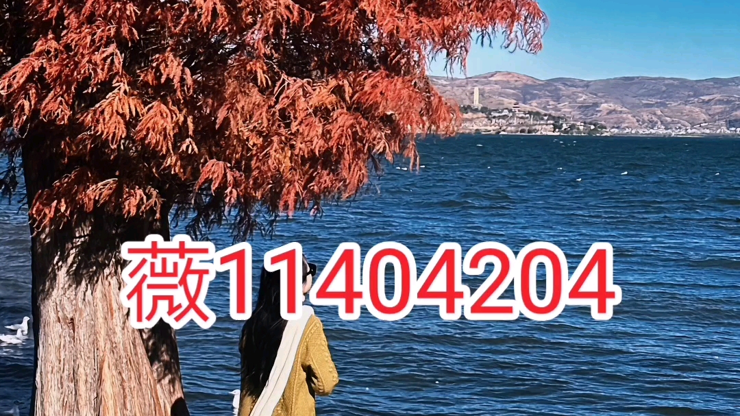 教程开挂辅助“雀神麻将怎么提高胜率”揭秘透视辅助万能挂-第1张图片