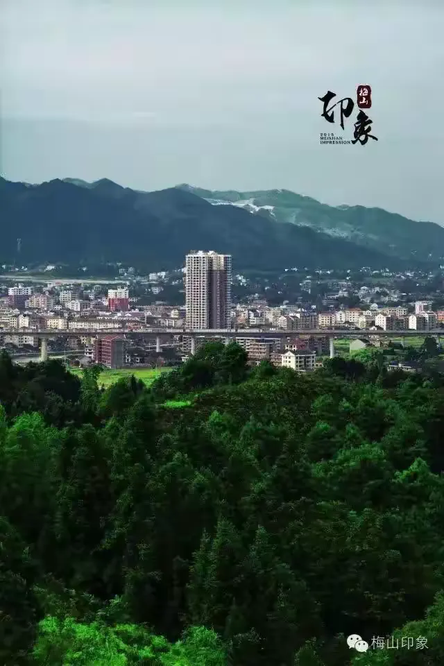 必备科技“家乡大贰内部免费挂	”附开挂脚本详细步骤-第1张图片