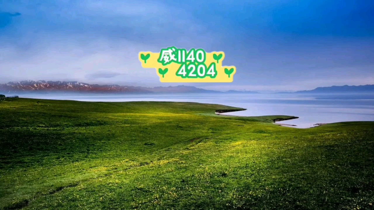实测辅助“微乐麻将万能开挂器通用版	”(透视挂)详细用法教程-第1张图片