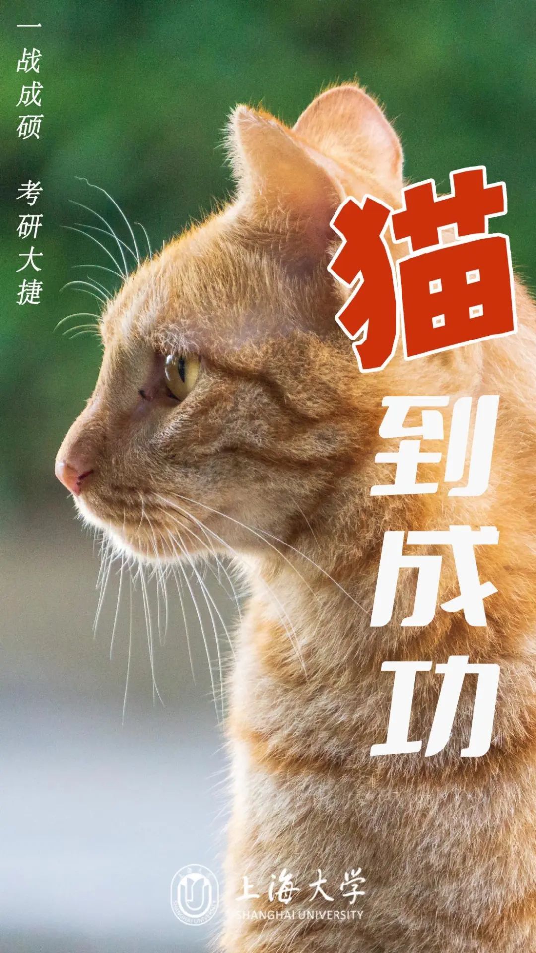 一键必胜“今日长牌开挂作弊”(其实真的能开挂)-第1张图片