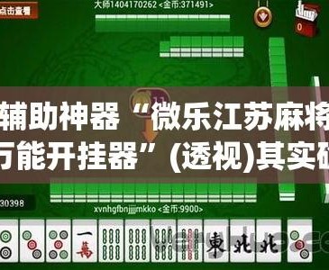 玩家必看教程“微乐河南麻将开挂神器	”(透视挂)辅助透视教程-第2张图片