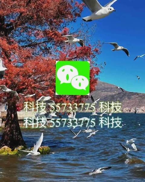 实测分享“捉鸡麻将开挂神器下载安装	”(透视挂)辅助透视教程-第2张图片