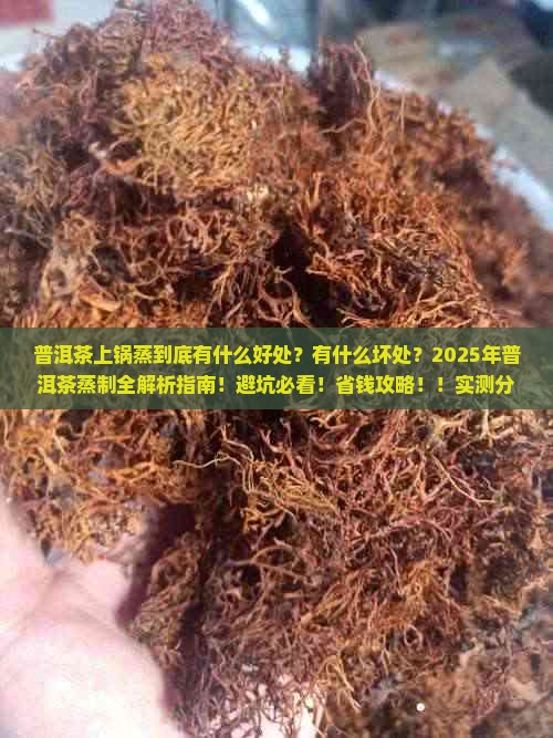 实测分析“镇雄关春天挂”详细分享装挂步骤教程-第1张图片