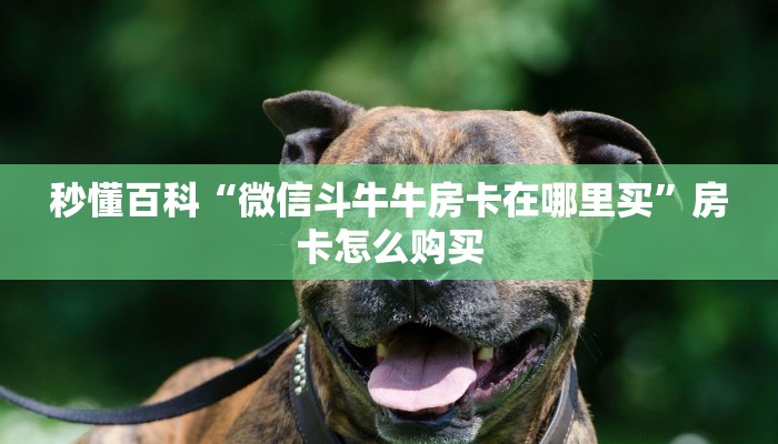 实测分享“手机上玩金花有挂吗	”通用版下载教程！-第2张图片