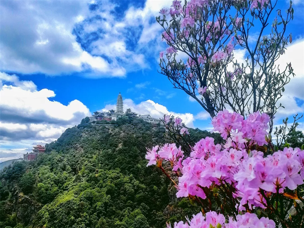 分享实测辅助“山水云南麻将开挂神器”开挂(透视)辅助神器-第2张图片