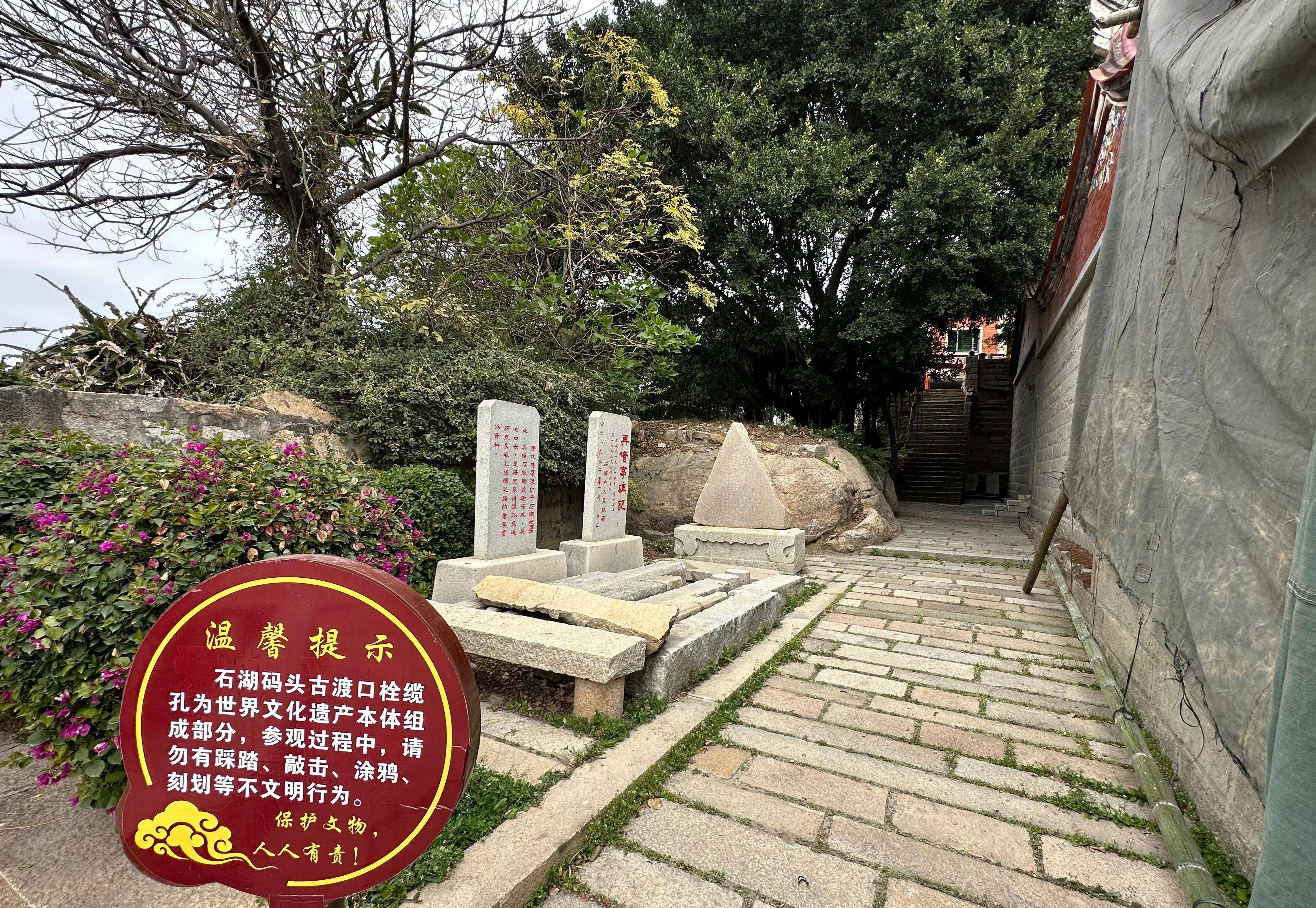 3分钟学会“福建十三水开挂辅助器”附开挂脚本详细步骤-第1张图片