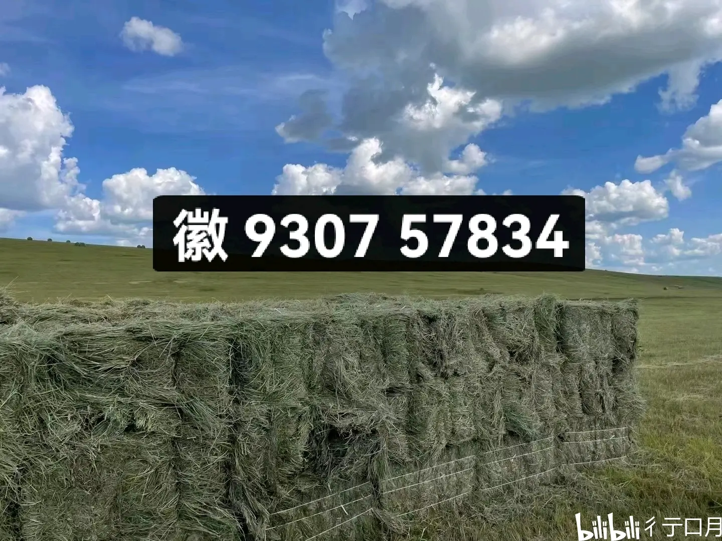 实测分享“微信链接拼三张透视挂	”开挂(透视)辅助神器-第2张图片