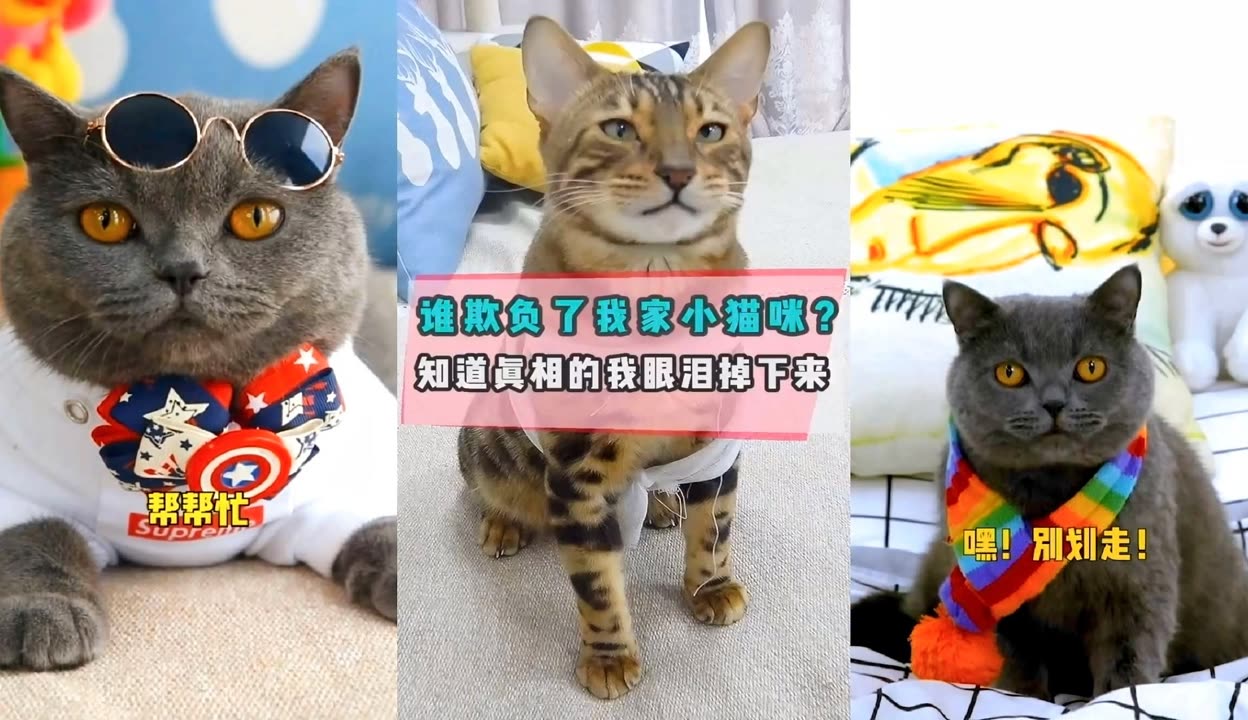 实测分享“随意玩大厅可以开挂吗”(曝光透视必备猫腻)-第1张图片