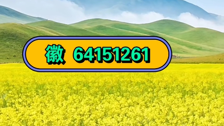 开挂教程“WePoker辅助工具怎么用”通用版下载教程-第1张图片