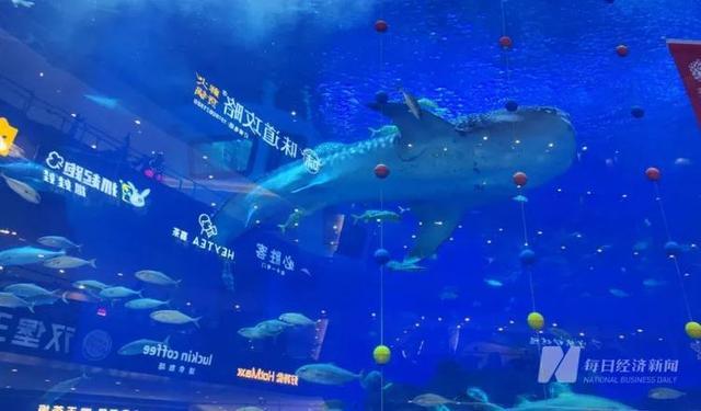 推荐一款“海底乐园有挂吗确实有挂”作弊(透视)透视辅助-第1张图片
