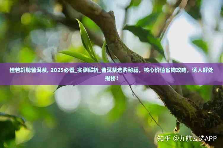 分享实测“牌乐门辅助器官网	”开挂辅助软件教程-第1张图片