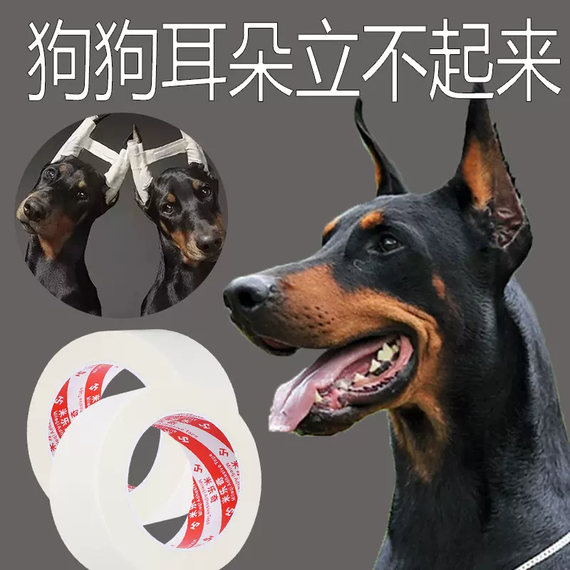 专用辅助“闲逸麻将到底有没有挂”（透视挂）辅助神器教程