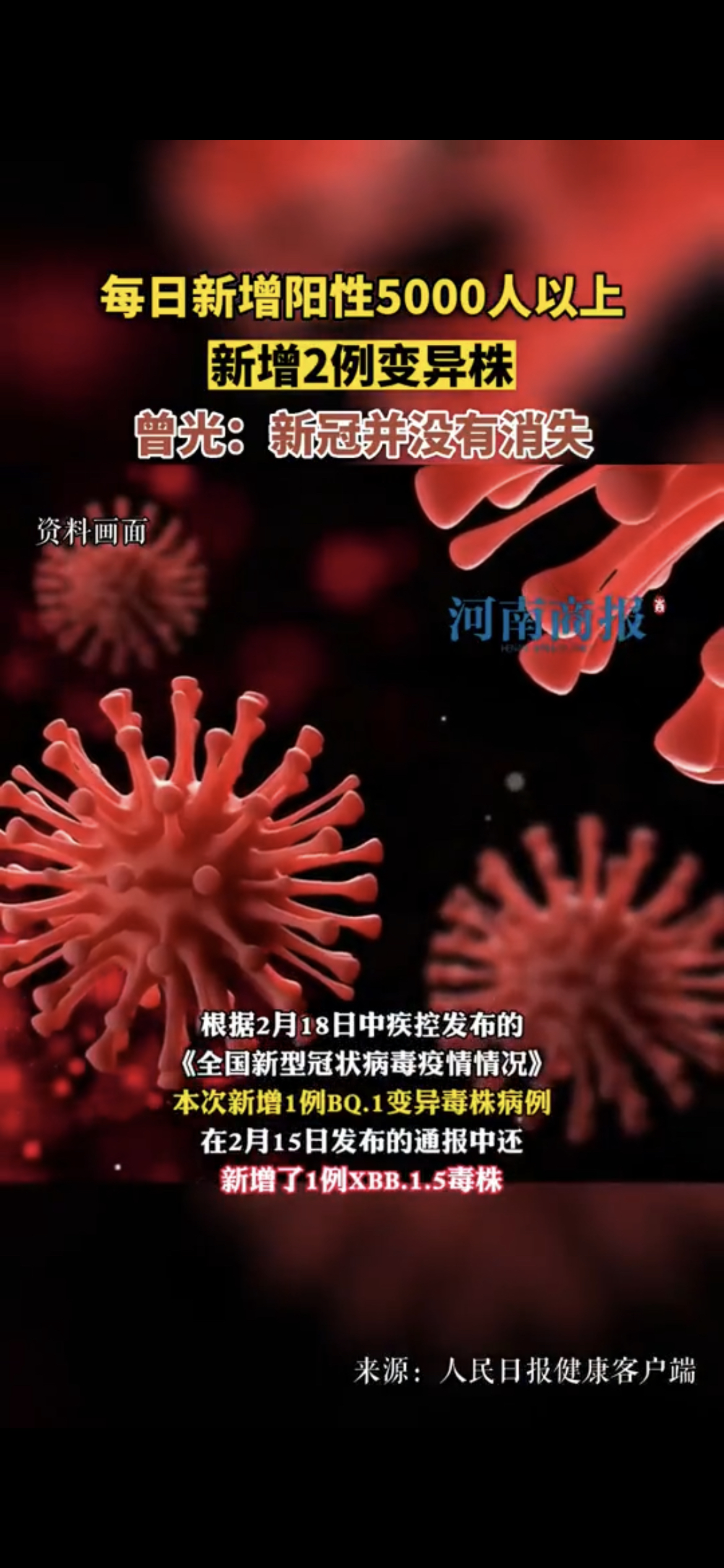 今天疫情的最新通报〃今天疫情动态?-第1张图片