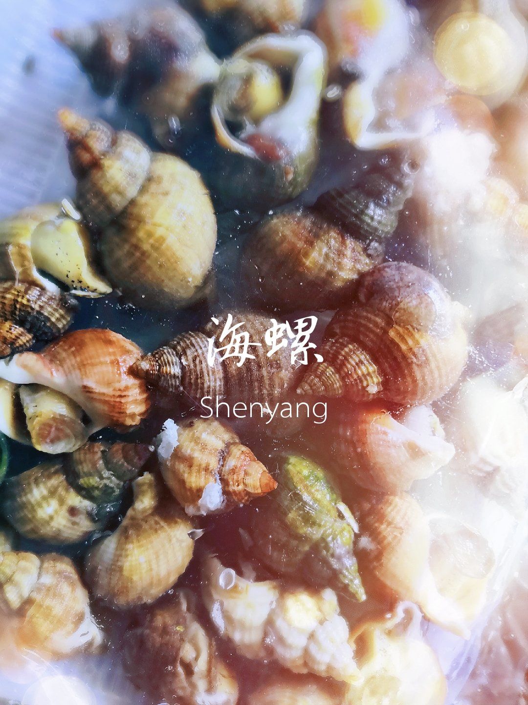3分钟教程“海螺众娱拼三张的透视辅助”详细分享装挂步骤教程-第2张图片