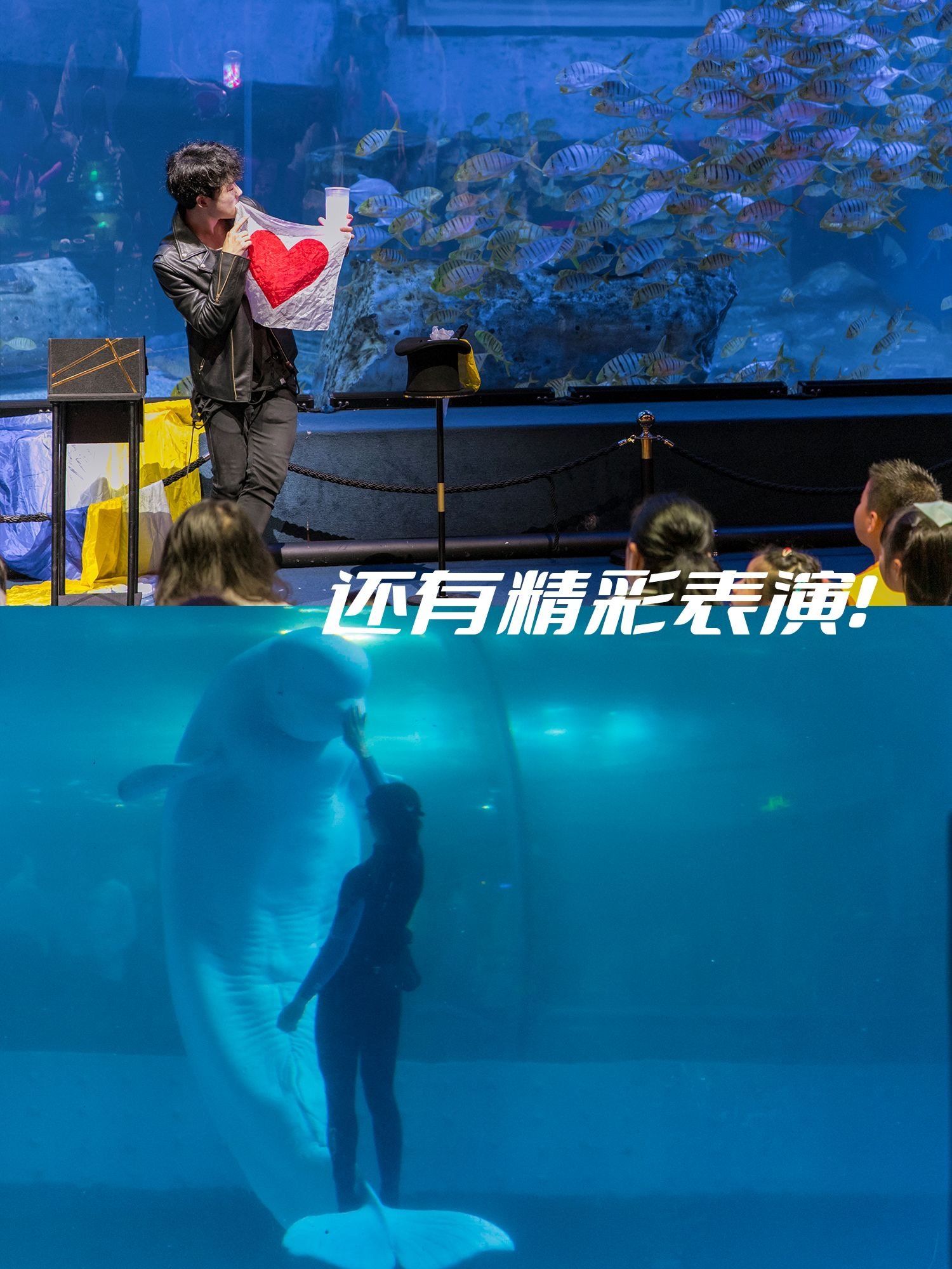 推荐一款“海底乐园有挂吗确实有挂	”作弊(透视)透视辅助-第2张图片
