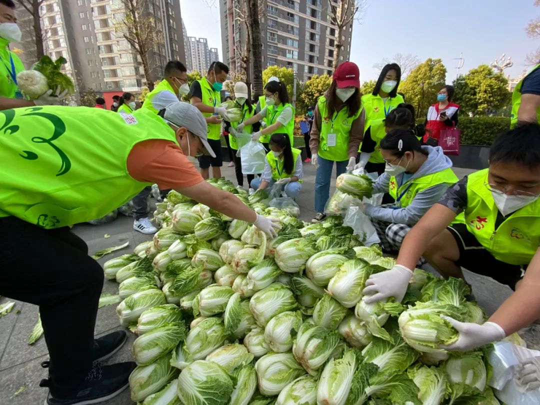 昆明最新疫情最新消息-昆明最新的疫情-第1张图片