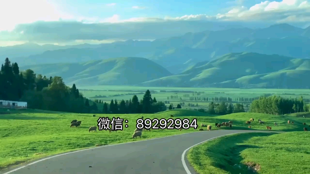 实测辅助“小程序微乐陕西麻将有挂吗	”揭秘透视辅助万能挂-第1张图片