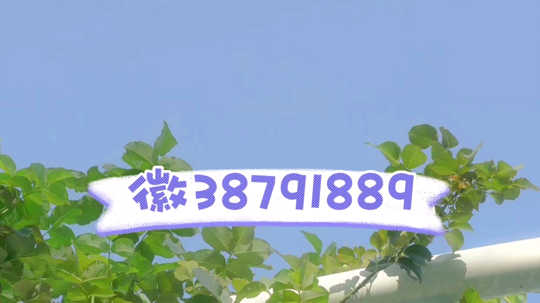 可用版本“三人斗牛怎么能赢”开挂(透视)辅助神器-第1张图片