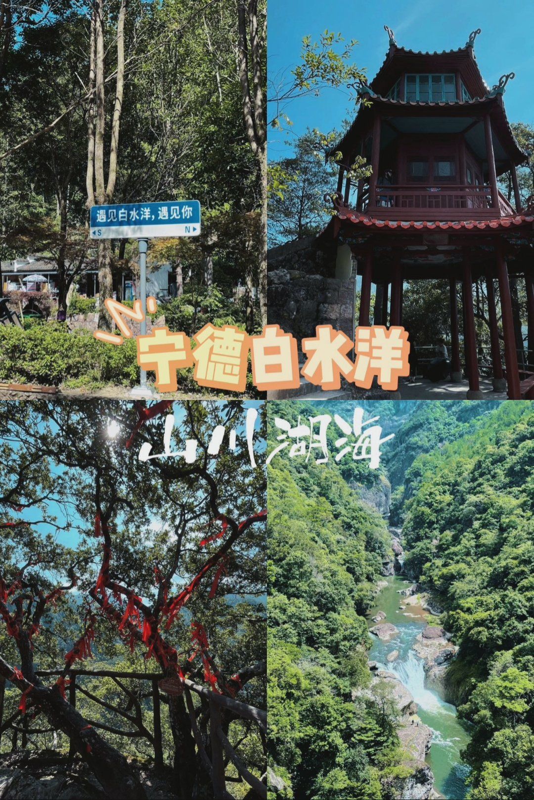 3分钟学会“一起宁德钓蟹辅助器下载”(透视挂)辅助神器教程-第1张图片