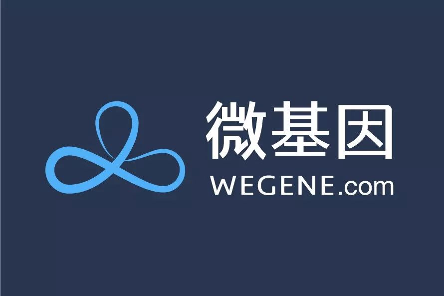 可用版本“微乐保皇辅助器免费版”(透视)详细透视辅助教学-第1张图片