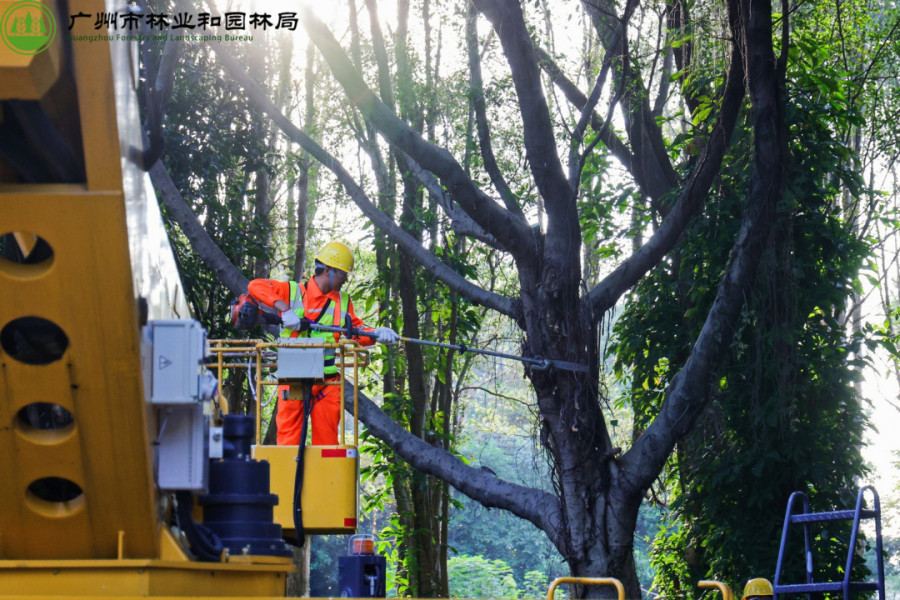 实操教程“羊城牌乐汇开挂免费	”详细辅助软件教程-第1张图片