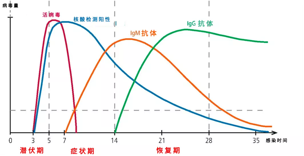 “疫情是什么时候开始的	” 疫情是什么时候开始的哪一年？-第2张图片