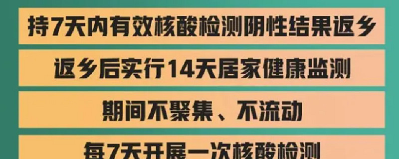持核酸阴性证明返乡不隔离〃持核酸阴性证明返乡不隔离怎么办-第2张图片