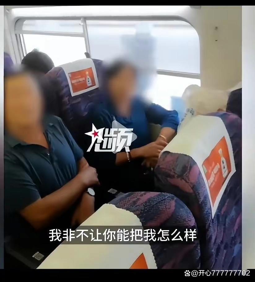 【返京/返京路上高铁被霸座小说】-第1张图片