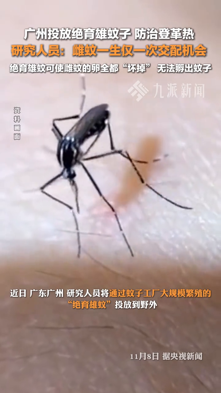 北海疫情〃北海疫情蚊子