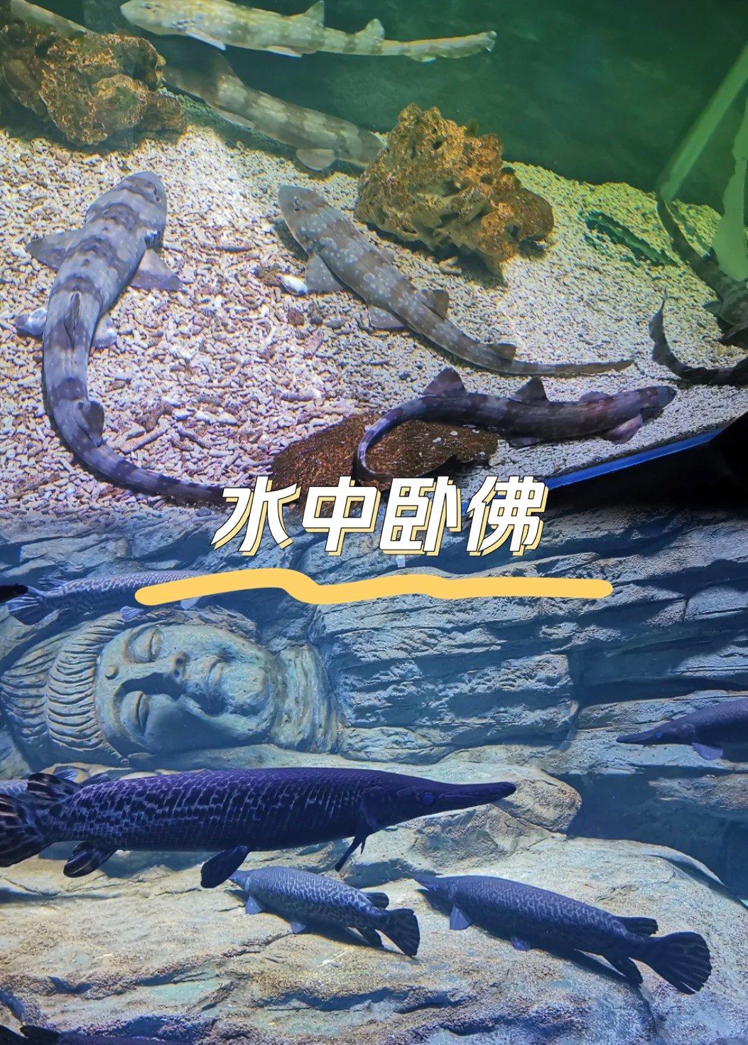 推荐一款“海底乐园有挂吗确实有挂”作弊(透视)透视辅助