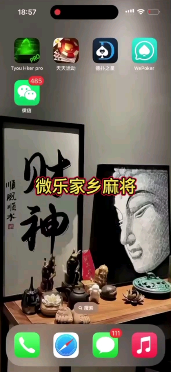 最新一款“微乐捉麻子开挂神器(透视)	”详细开挂玩法-第2张图片