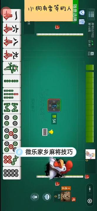 分享一款“旺旺福建麻将有什么开挂方法”万能开挂器（确实有挂）-第1张图片