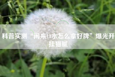 实测开挂辅助：“衢州都莱双扣辅助器是真是假”附开挂脚本详细-第1张图片