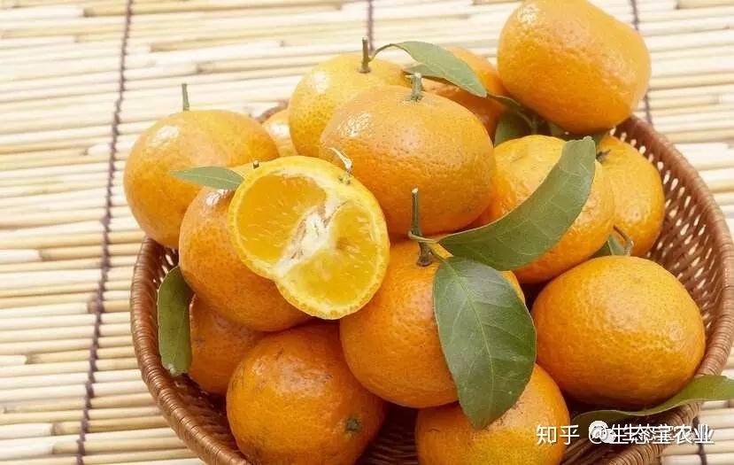 3分钟学会“家家乐牌吧可以开挂吗	”详细分享装挂步骤教程-第1张图片