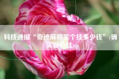 教程分享“哈灵麻将必赢神器软件”附开挂脚本详细步骤-第2张图片