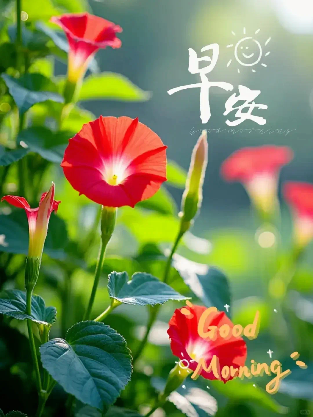 今日必看教程“微乐三代必赢辅助器免费安装	”详细分享装挂-第2张图片