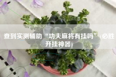 [教程经验]星悦麻将免费开挂神器	”开挂辅助详细步骤-第1张图片