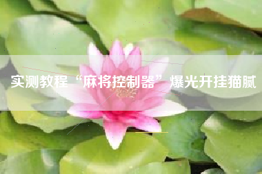 推荐一款“开心泉州麻将开挂器通用版”开挂通用版（必备神器）-第2张图片